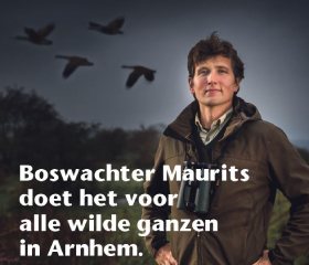 Boswachter Maurits met op de achtergrond wilde ganzen die in het donker voorbijvliegen