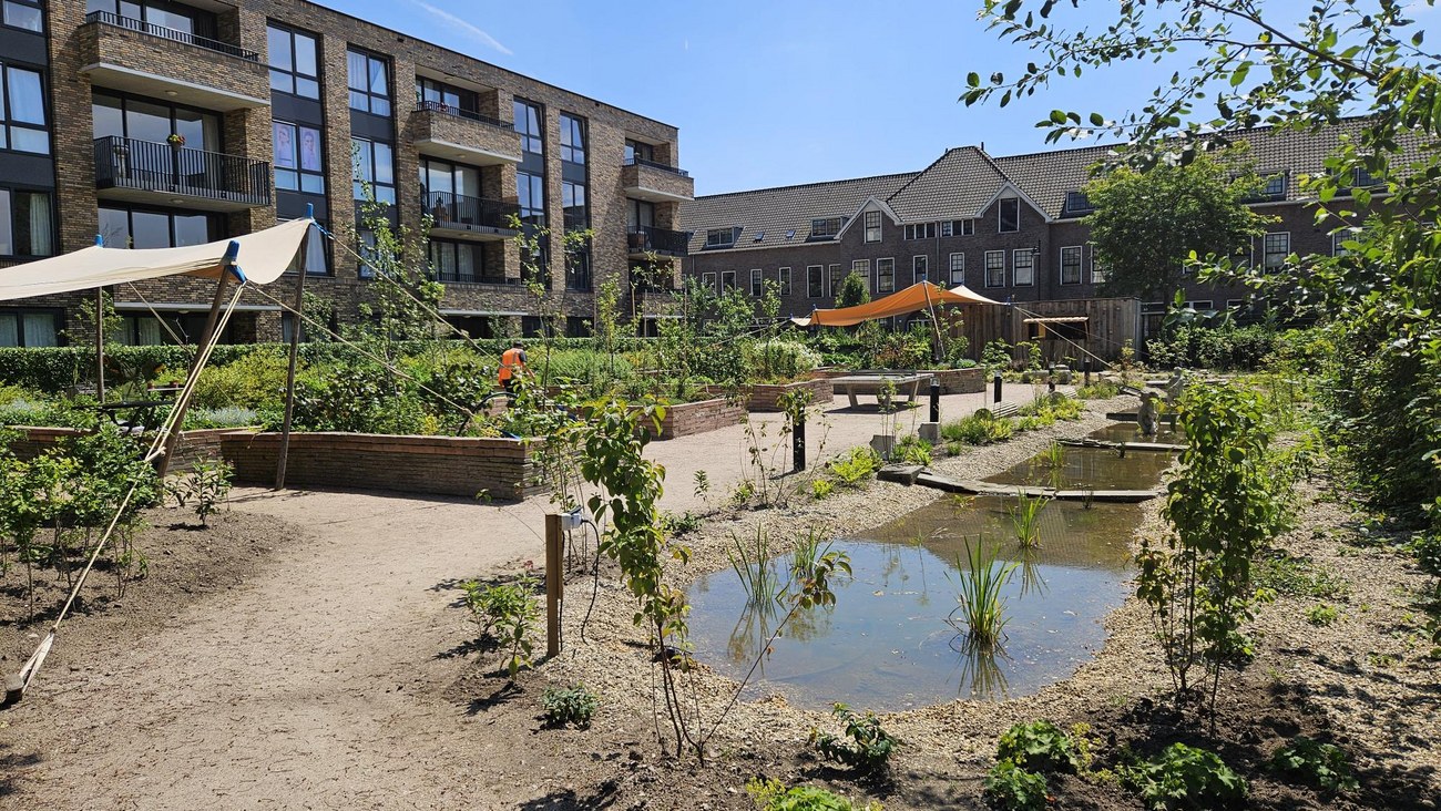 Vernieuwde Rietgrachtpark met een beekje en plantenbakken. Foto: Willem Jakobs