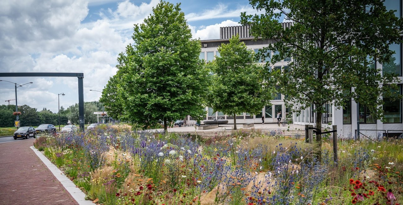 Vergroend gebied naast het Provinciehuis met bomen en bloemen