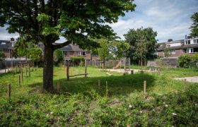 Vergroende speeltuin Bronsveenhof met bomen, planten, struiken en gras