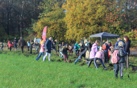 Kinderen die bomen planten in een akker