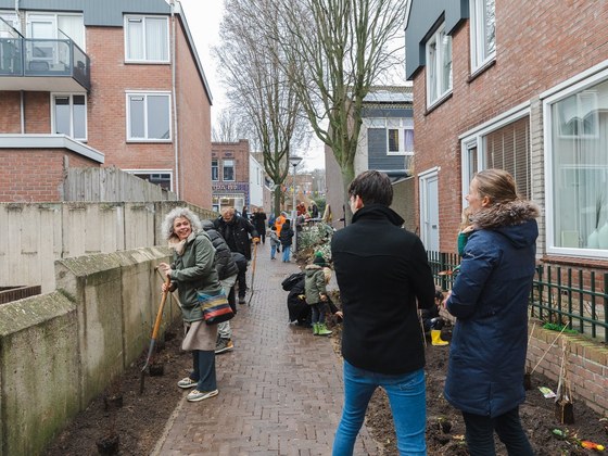 Inwoners planten groen langs gevel van huizen