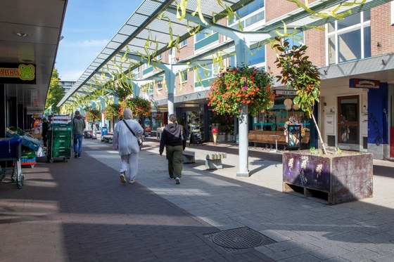 Winkelend publiek op winkelcentrum De Drieslag.