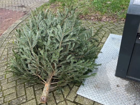 Kerstboom naast ondergrondse afvalcontainer