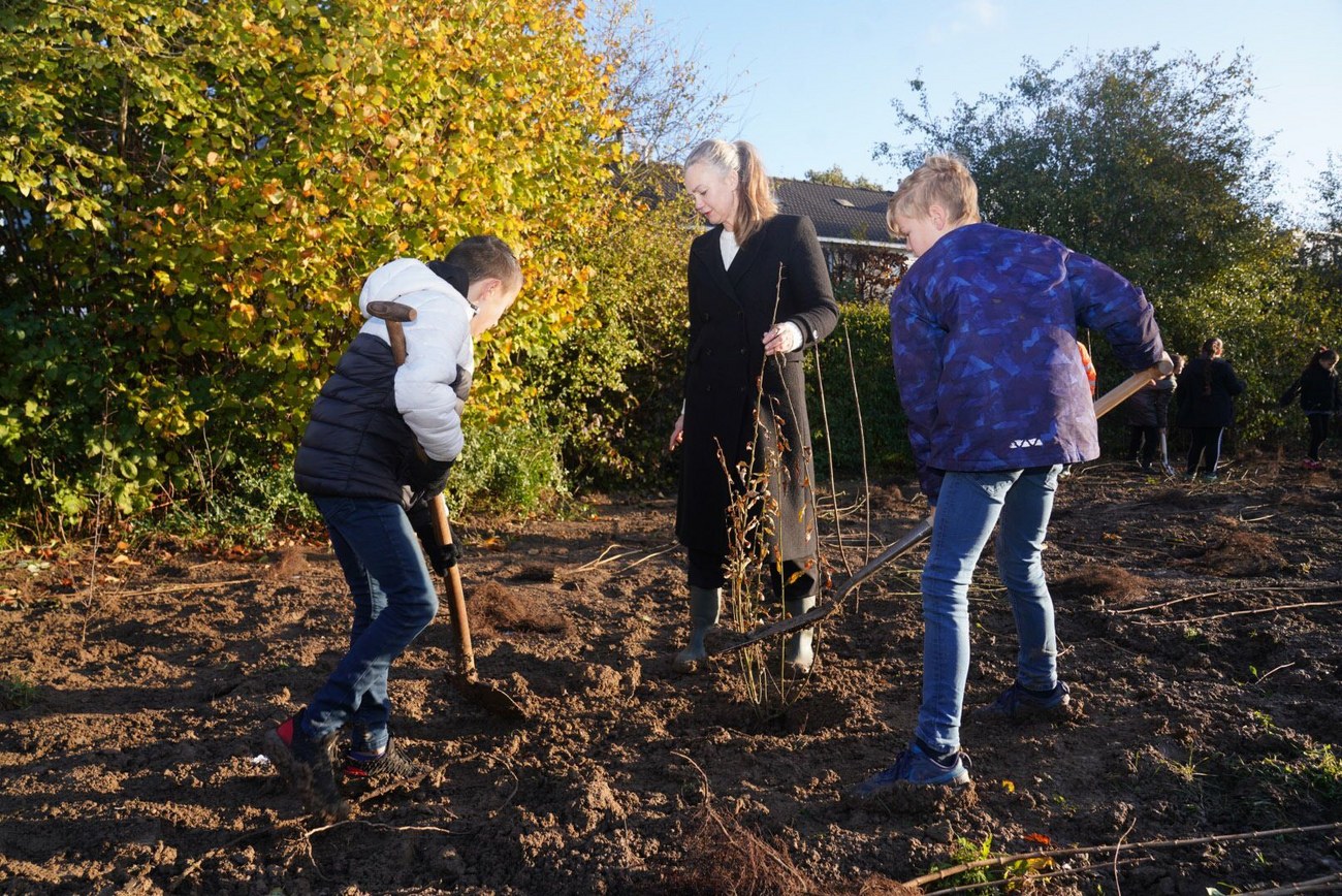 Wethouder Bouwkamp is met leerlingen nieuwe bomen aan het planten