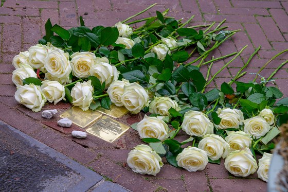 Er liggen witte rozen naast nieuwe goudkleurige struikelstenen.