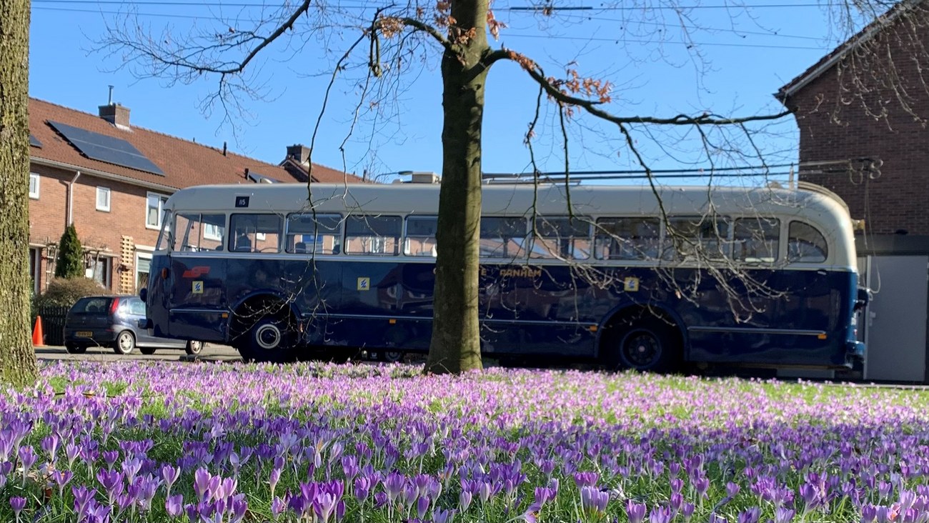 Arnhemse trolleybus