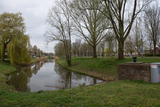 Een foto van een sloot in het midden van een Arnhemse woonwijk.