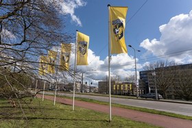 Vitesse vlaggen