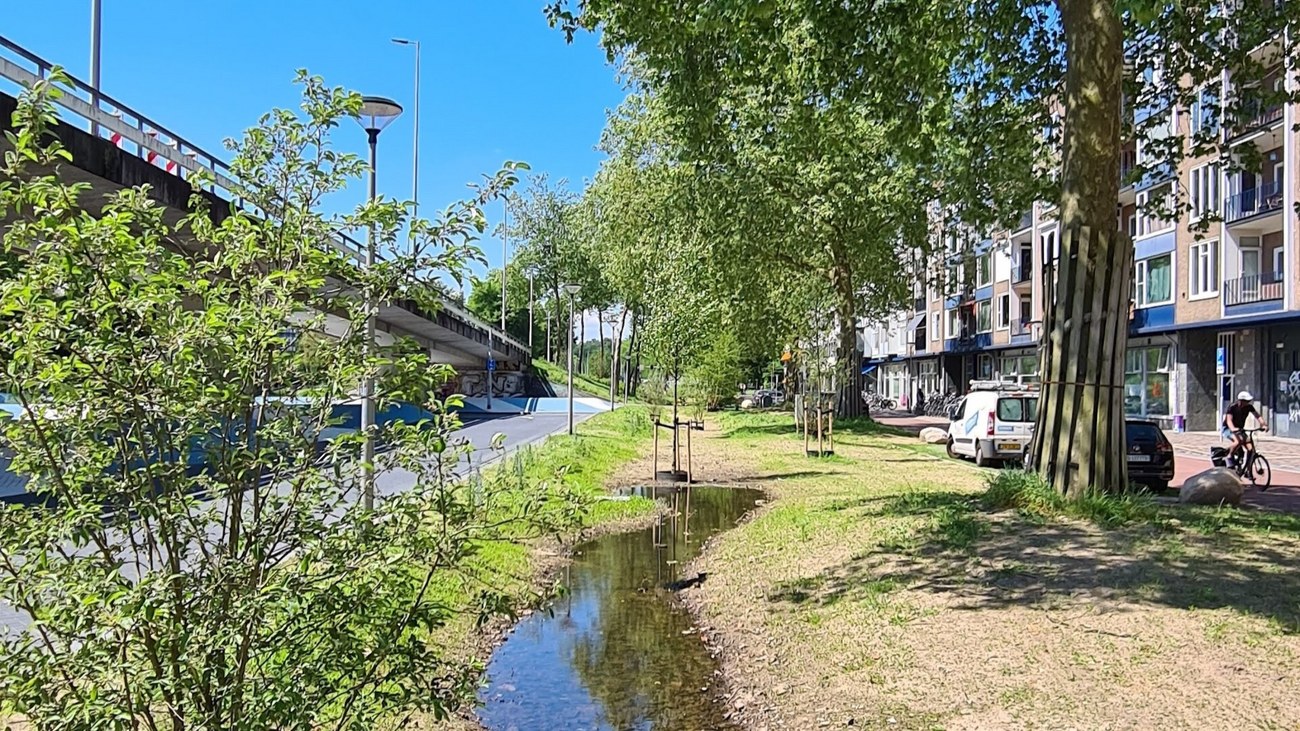 Een bomenstrook vlakbij de Blauwe Golven