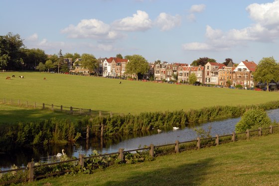 Sonsbeekpark in de zomer